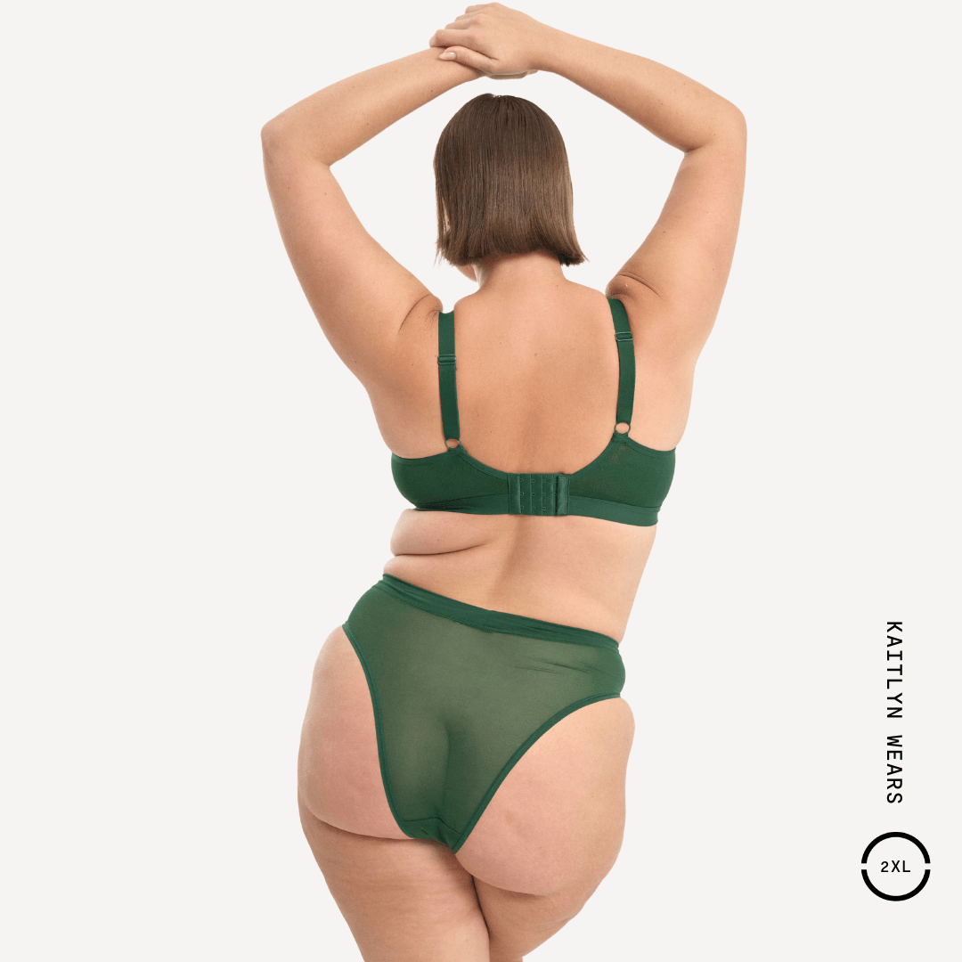 Mesh Cheeky Brief 9 Mesh Cheeky Brief